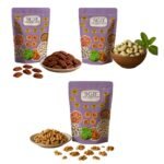Shree Ganapati Bhandar Pecan Nut | Premium Nuts + Pudina Cashew + Walnut Giri | Akhrot | Dry Fruits and Nuts | Rich in Nutrients | Ideal for Daily Nutritio | 500 gm Each
