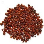 SriSatymev Malkangni Jyotishmati | Celastrus Paniculatus Seeds 5Kg